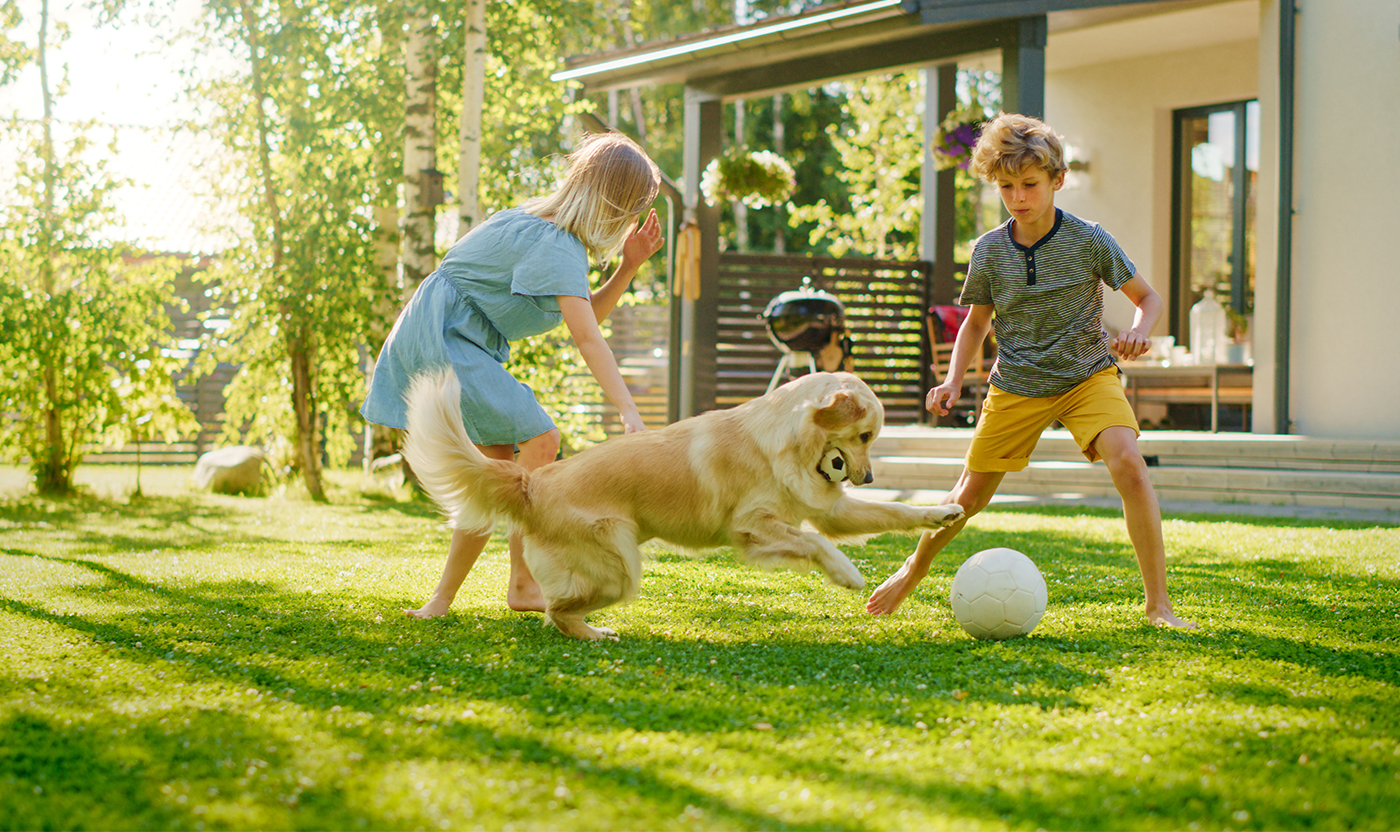 HAYATINIZDA YENİ DOSTLARA YER AÇIN
